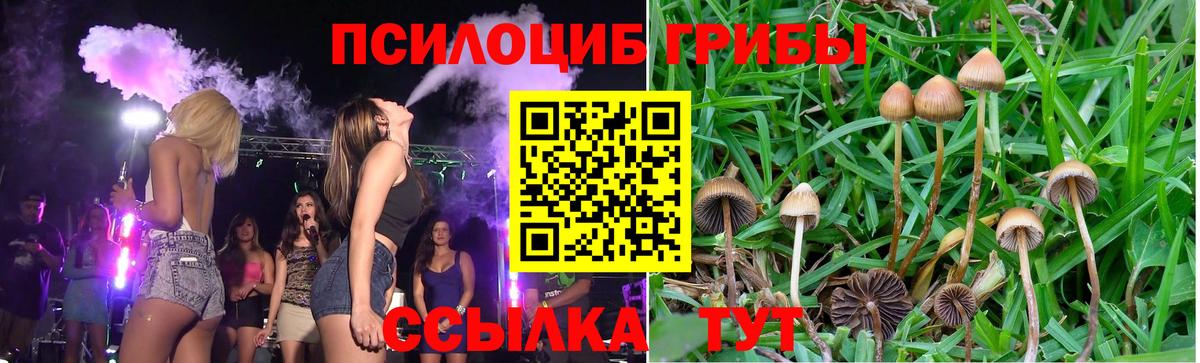 Галлюциногенные грибы GOLDEN TEACHER Усть-Илимск